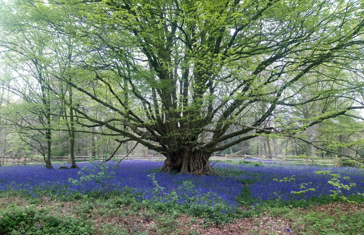 kerryrecep tweet media