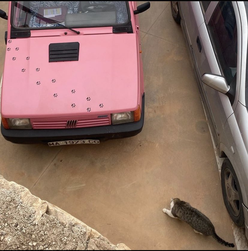 999feerr's tweet image. 