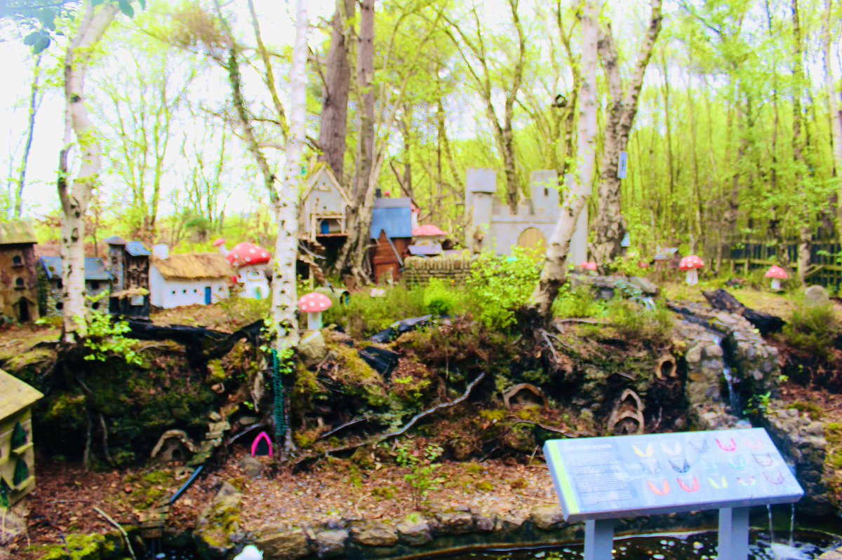 Marie_27's tweet photo. Nice hour  at lullymore with the kids this morning bit of mini golf and short walk - resting for the  rest of the day now the pain and fatigue has kicked in #LongCovid #covidfatigue https://t.co/nIkiWs5Tak