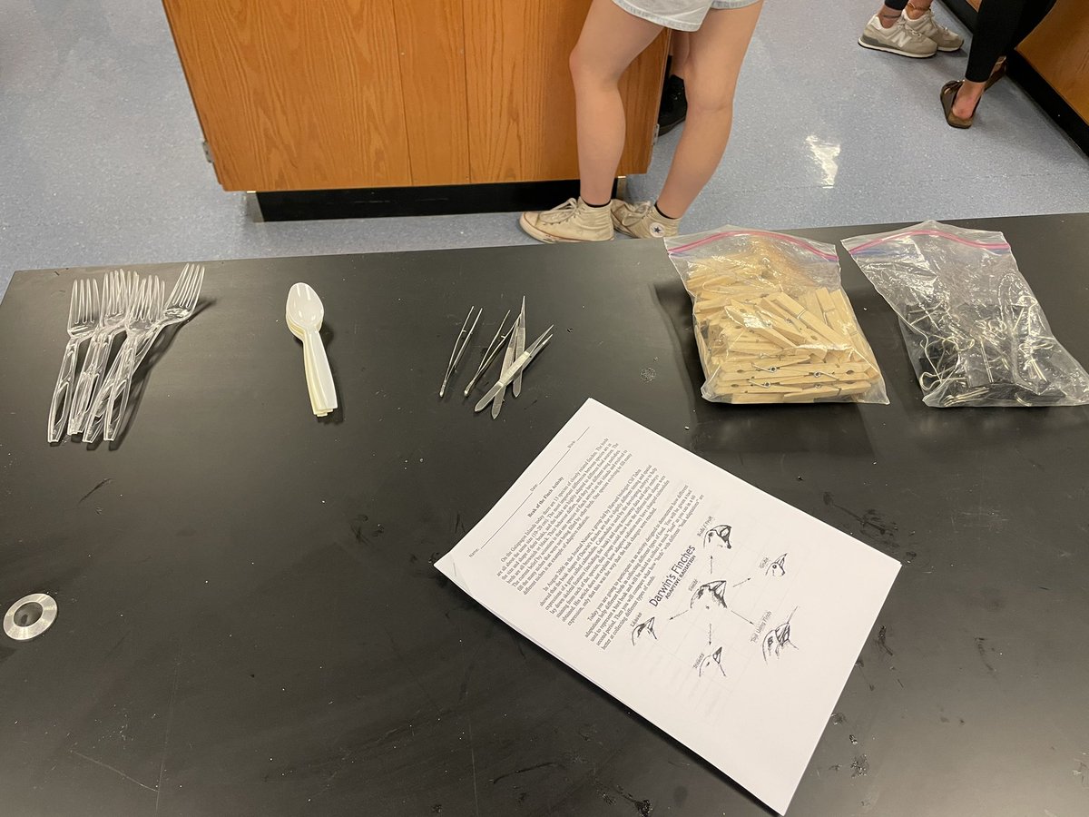 ehmyrick's tweet photo. #BeakoftheFinch with #honorsbio @NewKentStrong https://t.co/6wdw9DCuXp