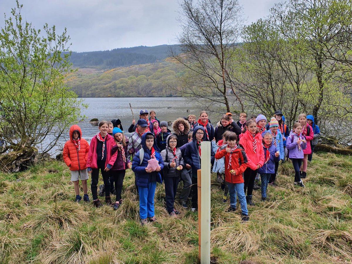 RahenyScouts tweet media