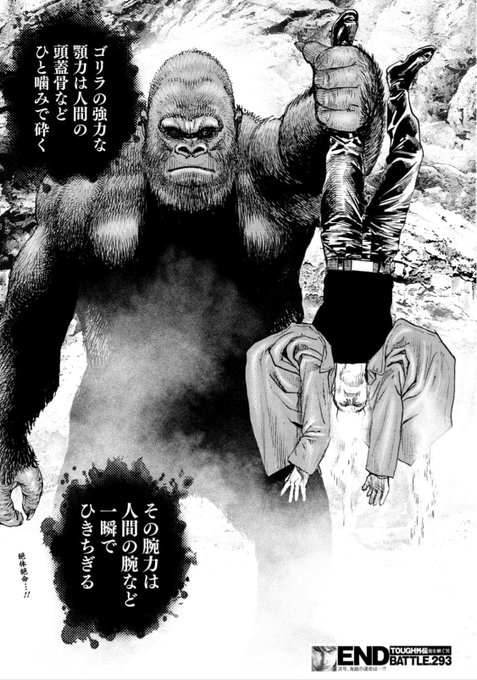 悲報 大人気格闘漫画 タフ 最強キャラよりゴリラが強くなりパワーバランスがもうめちゃくちゃｗｗｗｗｗ 色々まとめ速報