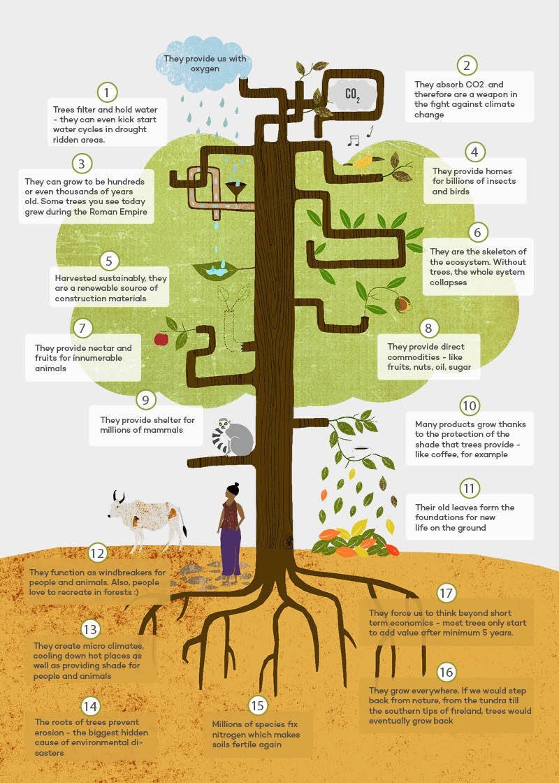 <a href="/Greenisamissio1/">Green is a mission</a> I 💚🌳.
saveplanetearth.io knows how important trees are in our world. For now, it has contracted 1.1 billion trees to plant. Incredible.

🌳🌳🌳🌳🌳🌳🌳🌳🌳🌳🌳
🌳 <a href="/SPE_Token_BSC/">SavePlanetEarth</a> $SPE 🌳
🌳🌳🌳🌳🌳🌳🌳🌳🌳🌳🌳