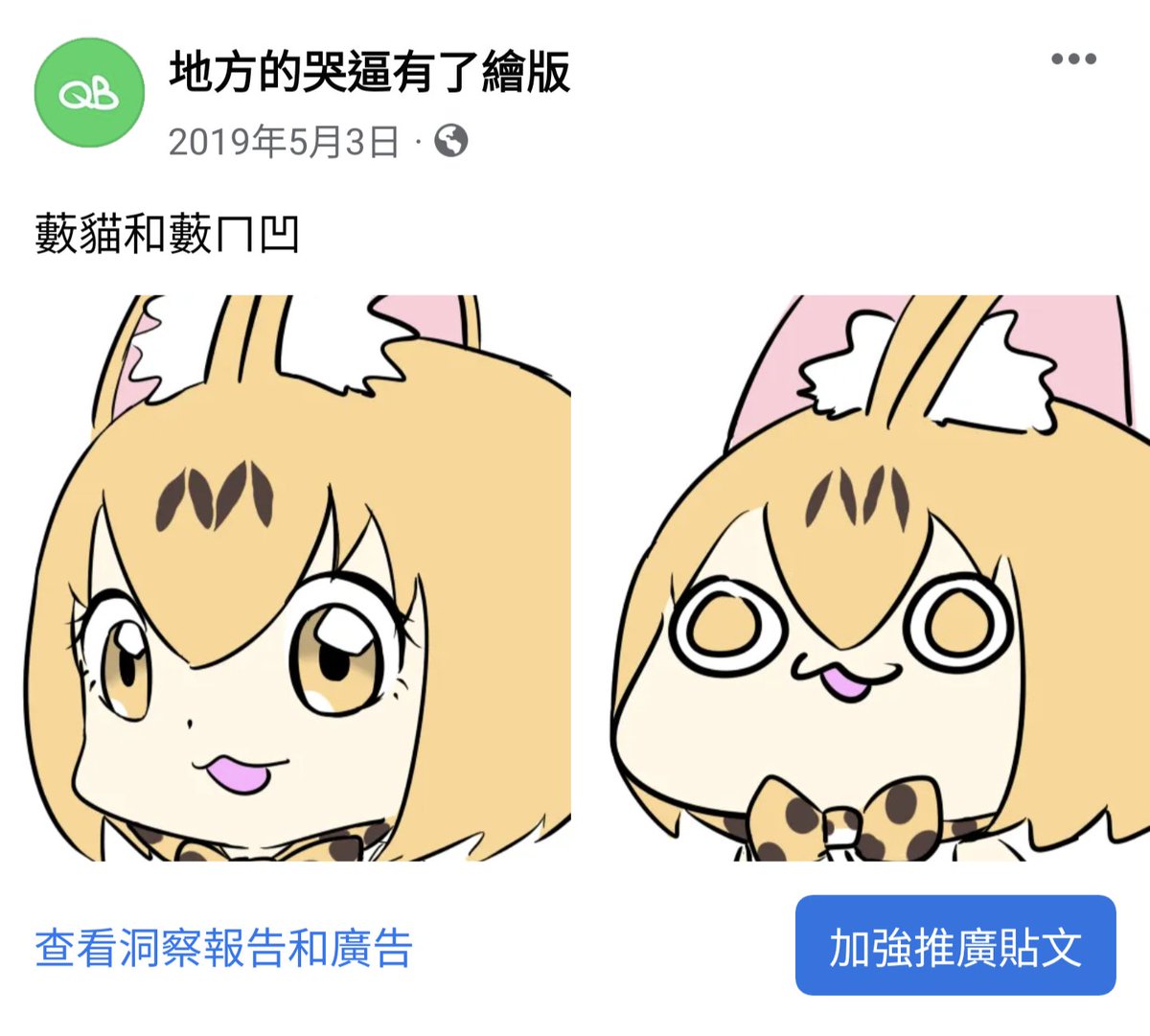 動態回顧 