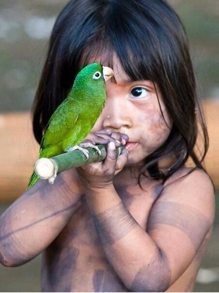 R__Naturebeauty's tweet image. Love in the air ❤️
💚💚💚🦜💚💚💚