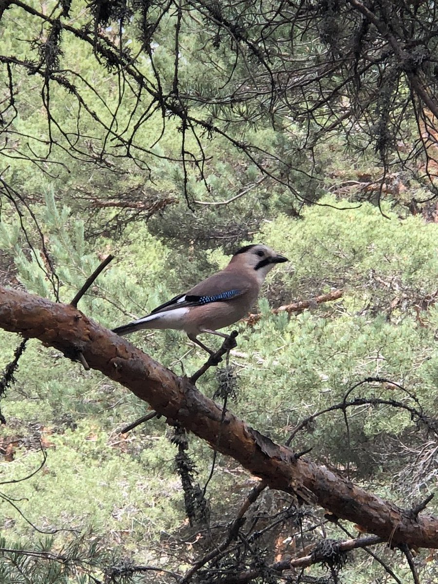 Sn <a href="/alpertuydes/">Alper Tüydeş</a> bu güzelliğin adı nedir acaba? Çok samimiydi, biz de fıstıkla besledik kendisini 😊