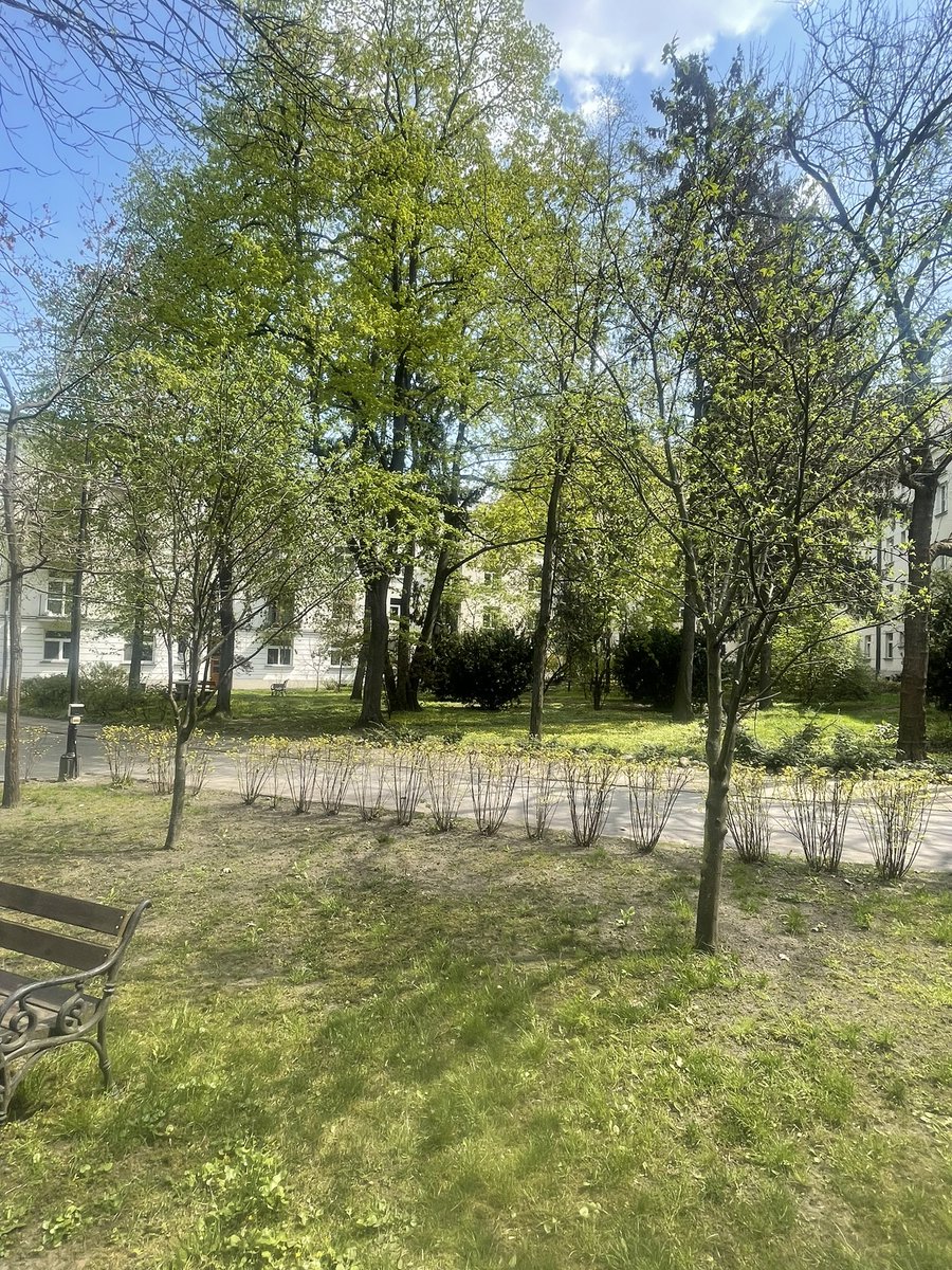 MichaListkiewi2's tweet photo. Odwiedziłem miejsce, gdzie się urodziłem i wychowałem, zielony Żoliborz. Tu grało się w piłkę i hokeja, podrywało dziewczyny, pierwszy papieros i Alpaga, ech wspomnienia. Nawet kumpla Michała z podstawówki spotkałem, nic się nie zmienił😂😂😂 https://t.co/eJ2zubCZ8u