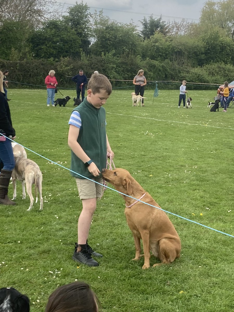 Charity dog show today in aid of Ukraine Dog Rescue 🇺🇦 
Barford Village Hall NR94AB 

<a href="/BBCSuffolk/">BBC Suffolk</a> <a href="/BBCNorfolk/">BBC Norfolk</a>