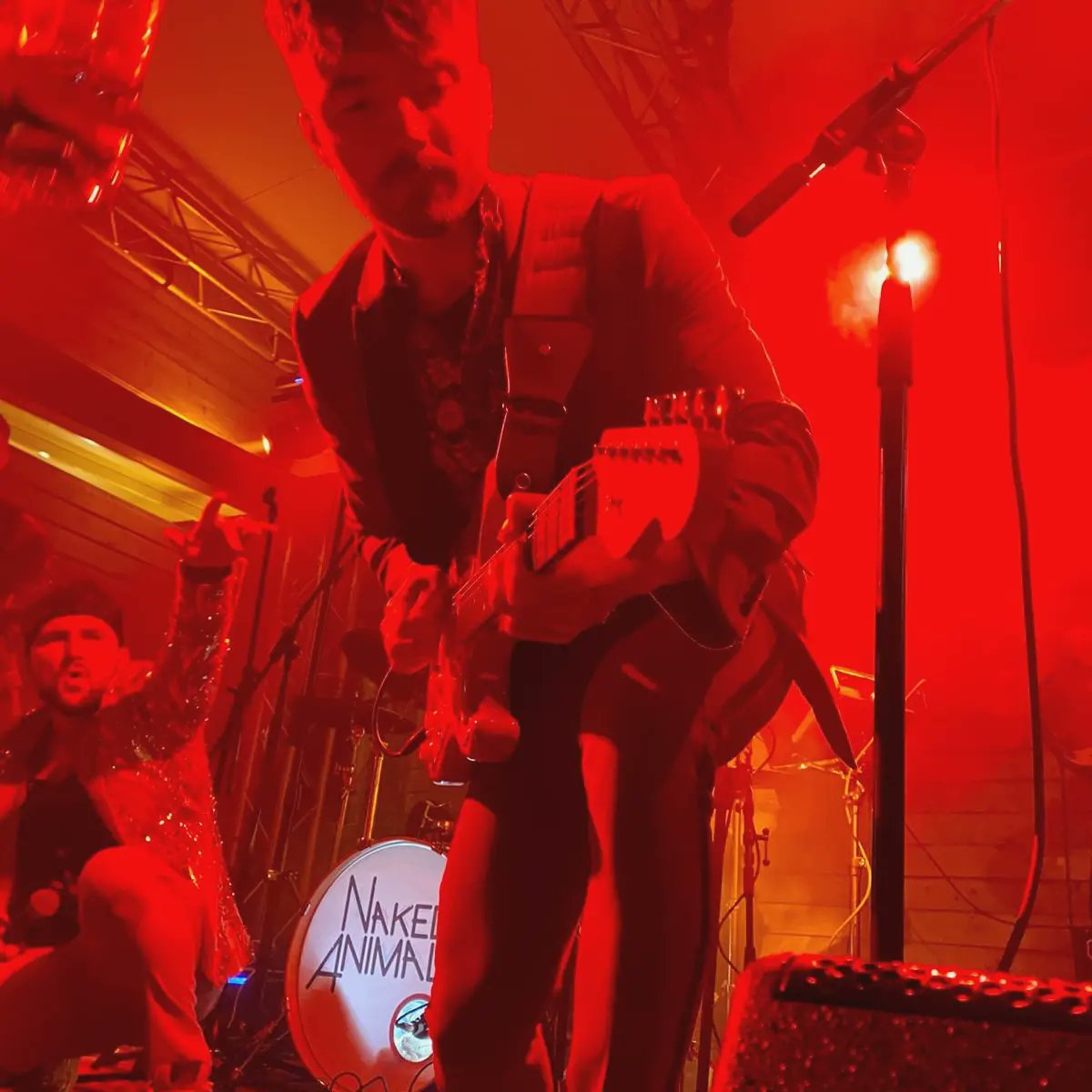 Naked Animals tweet media