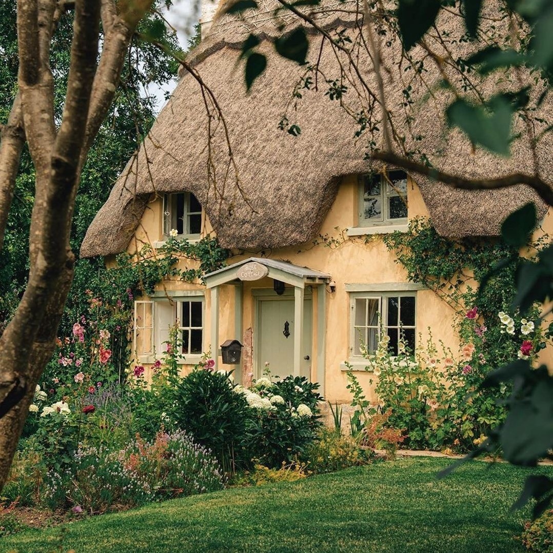 peacozy's tweet image. 