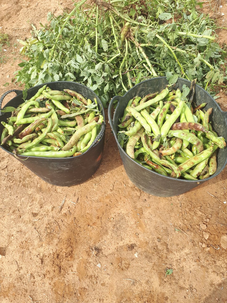 On hi ha, sempre queda. Per si de cas i incrementant les reserves.