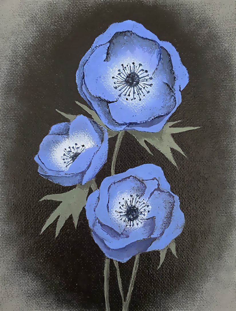 アンティークイラスト Twitter Search Twitter