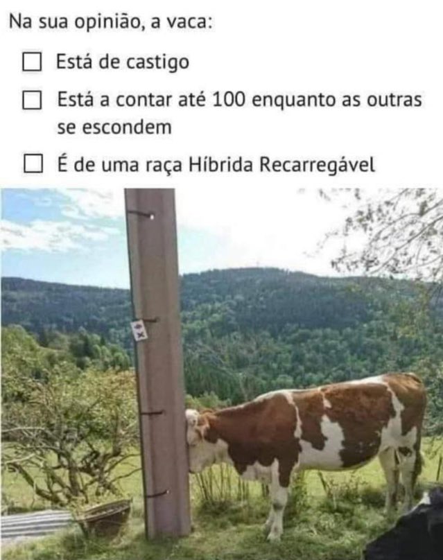 shitpostverdade's tweet photo. https://t.co/f7LKxt1Eaj