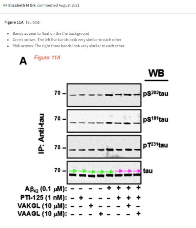 MattNachtrab's tweet photo. @MicrobiomDigest claims that the left 5 bands and Right 3 bands look similar on figure 11a from Prof Hoau 2012 Journal of Neuroscience paper.  This thread will cover from many angles that they are not very similar at all.  Angles covered, Zoom, Clone Analysis, and AI Imaging. https://t.co/o9xw30iJxJ