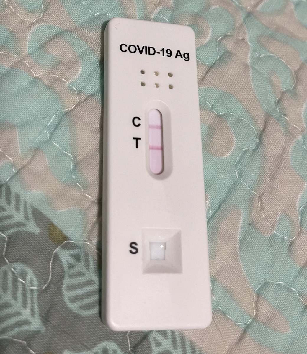 Vivir en Australia 🇦🇺 tweet media