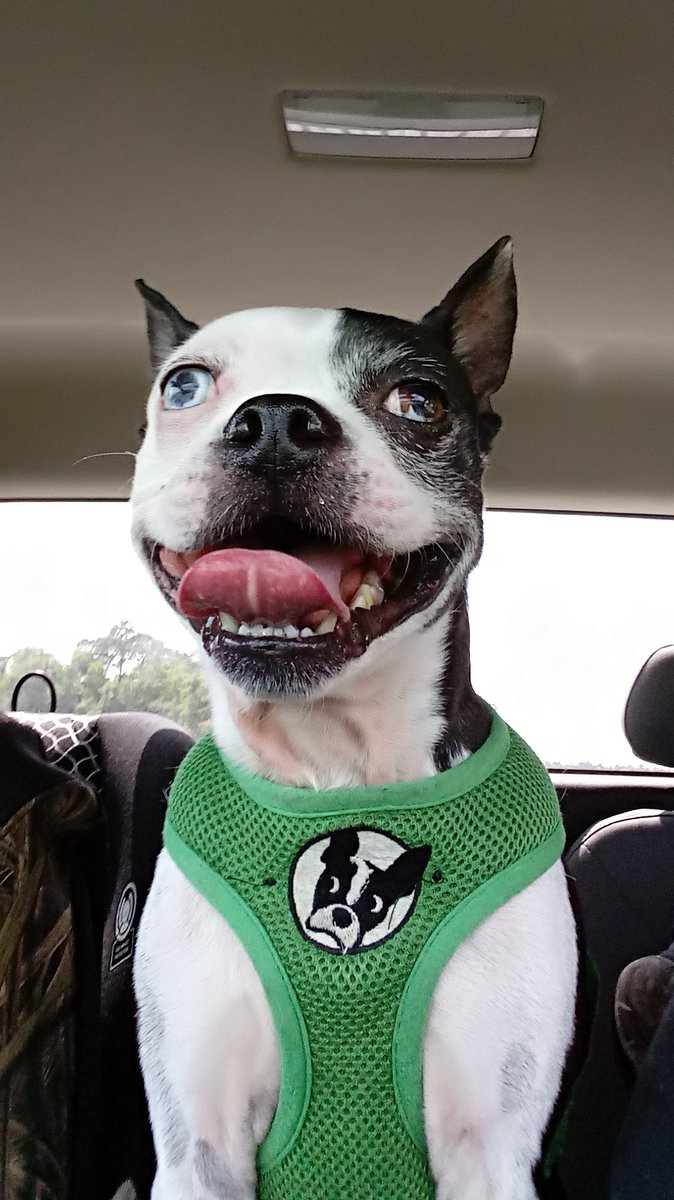 Maynard Gozer Krebs tweet media