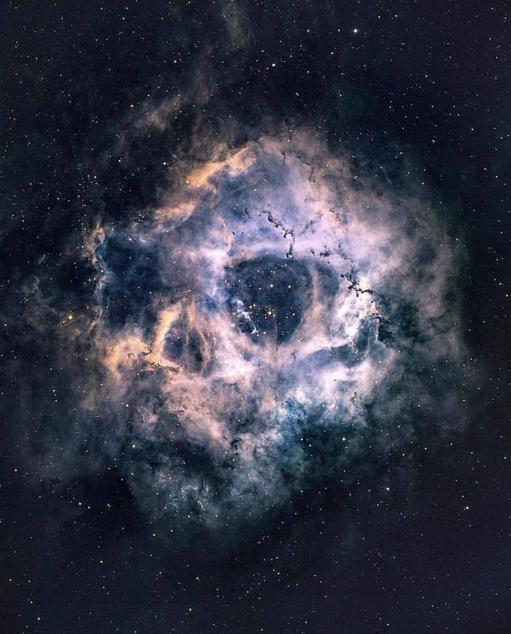 ineed__spacee tweet picture