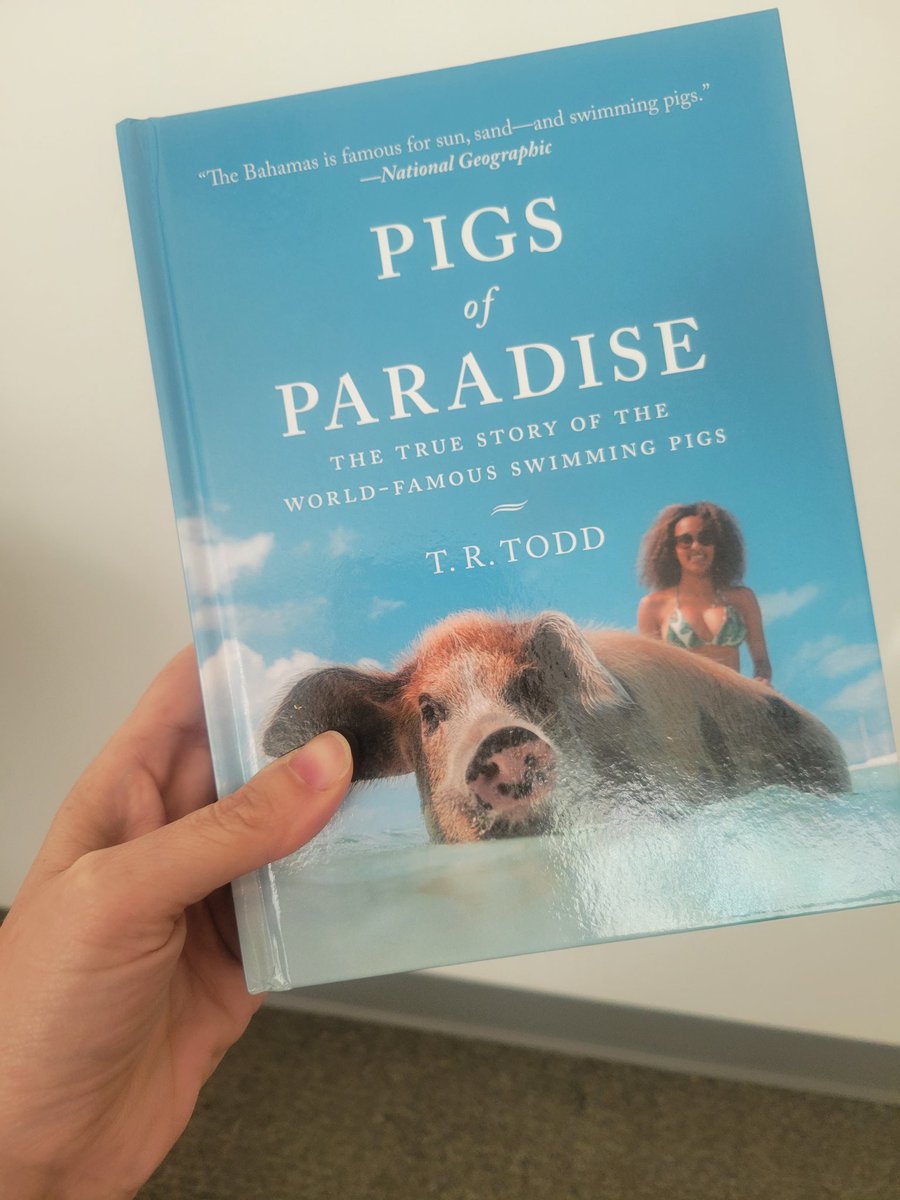 flanneryhiggins's tweet photo. So excited to read this! Someday, I hope to make it to Exuma to meet the swimming pigs. Thank you @ByJeffTodd #pigsofparadise #swimmingpigs https://t.co/XabRcZz0xK