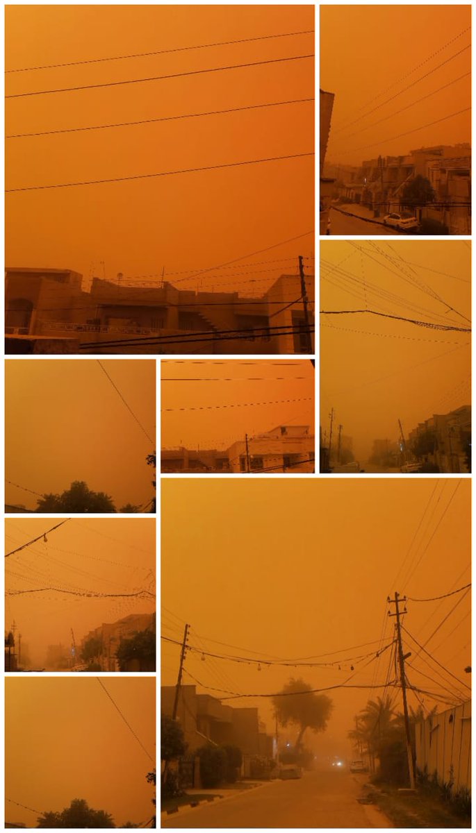 لعل أحد أسباب العواصف الرملية التي تضرب العراق هو لأنه أصبح مجرداً من أحزمته الخضراء.
أحد القوانين الذي فشلتُ في إقرارها هو هذا القرار البرلماني الذي أمامكم.
صغتُهُ كقانون ملزم.. ولكن النائب الأول لرئيس مجلس النواب همام حمودي مارس الفيتو ضده، فحوّلتُهُ إلى قرار!
إقرأوه وافهموا!