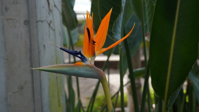 Fsfudcc168qazm Fsfudcc168qazm