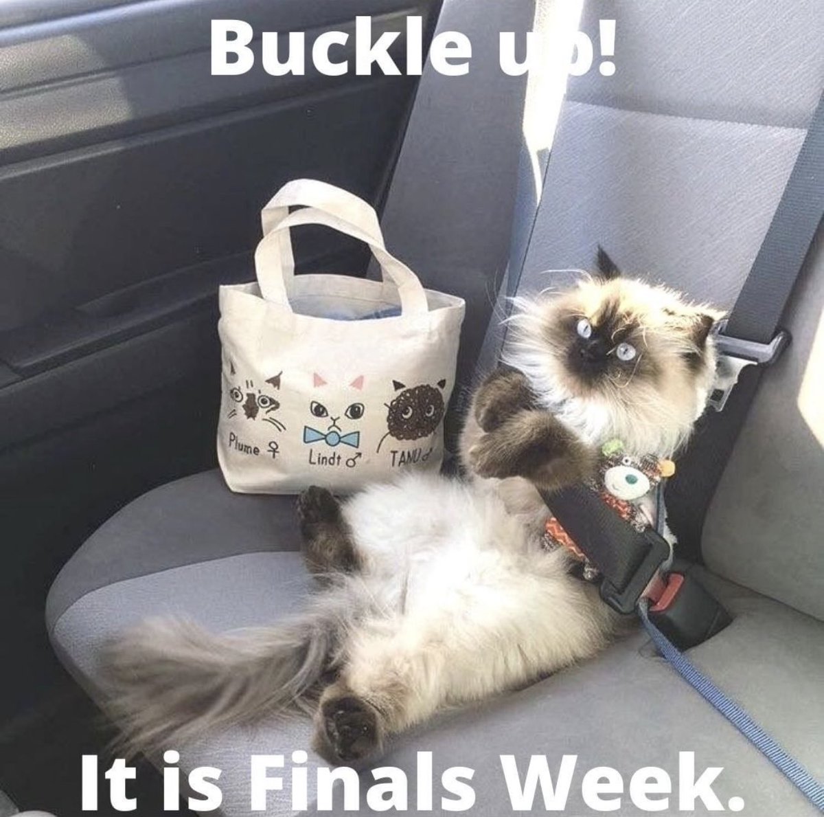 Presbyterian College Academic Success tweet media