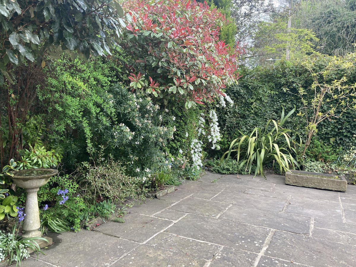 Jonathan Pratt (@jonathanprattjp) on Twitter photo It’s really nice to sit down and think about what to do next in the garden. I’ve got so many plans. #gardening #GardenersWorld #Hampshire #plants #mentalwellness <a href="/BBCBargainHunt/">Bargain Hunt</a> It’s really nice to sit down and think about what to do next in the garden. I’ve got so many plans. #gardening #GardenersWorld #Hampshire #plants #mentalwellness <a href="/BBCBargainHunt/">Bargain Hunt</a>