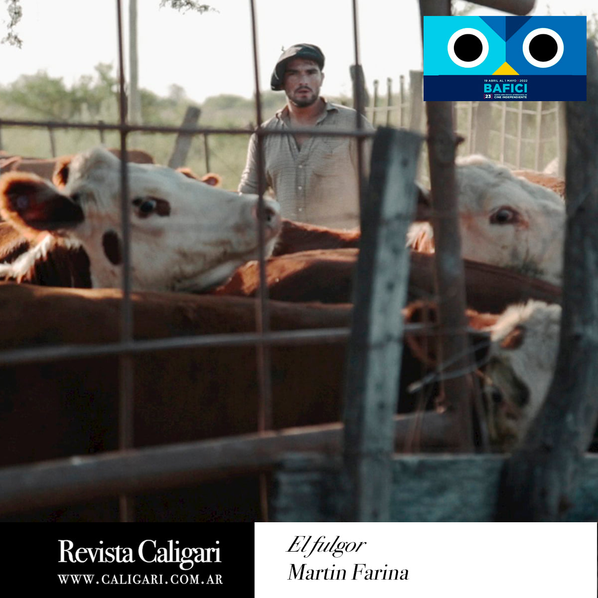 Revista Caligari tweet media