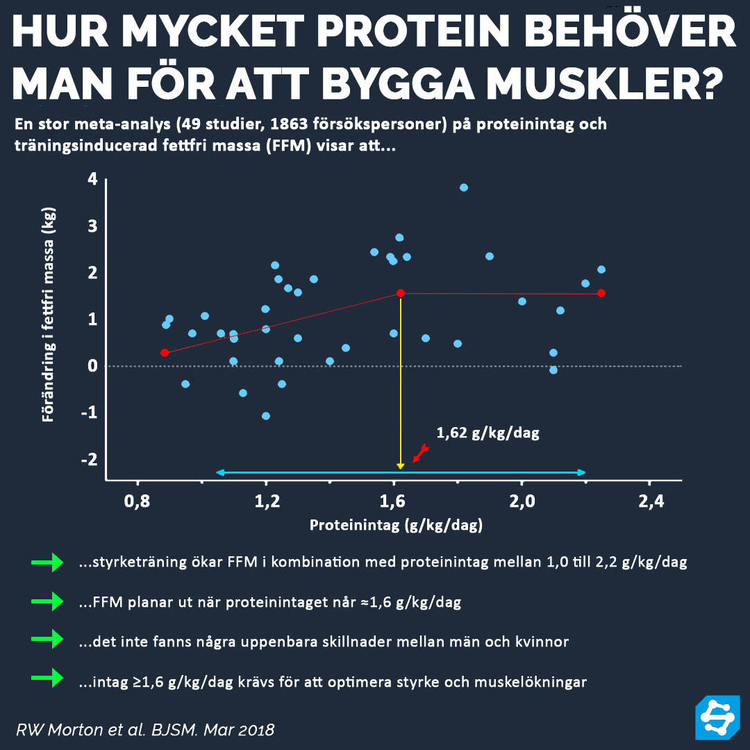 sportsciencese's tweet photo. PROTEIN ℹ️

https://t.co/OvCEsarRcD

#idrott #träning #styrketräning #löpning #kost #protein #sport #snabbhet #crossfit #hypertrofi #muskeltillväxt #baslyft #kondition #konditionsträning #hockey https://t.co/WXr5h5cCGP