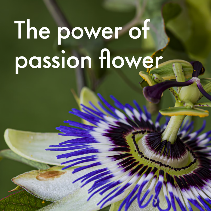 Givaudan's tweet photo. Givaudan’s botanical ingredients for relaxation unlock the best from nature – discover our Wellness Essential botanicals and infusions to create label-friendly beverages that consumers will love.
#GivaudanFoodExperiences #ImmunityAndRelaxation