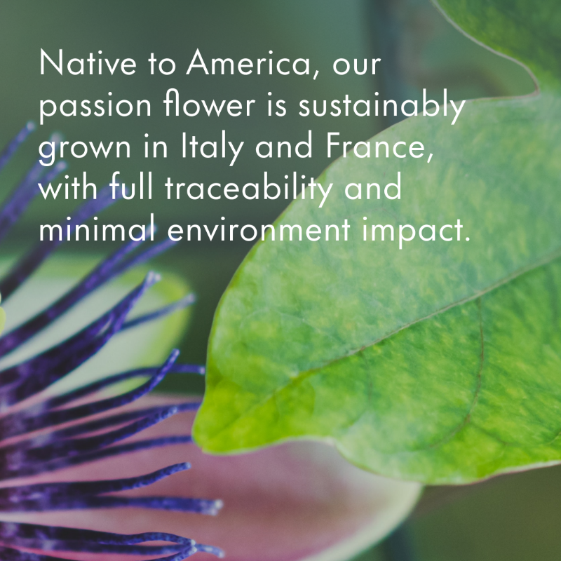 Givaudan's tweet photo. Givaudan’s botanical ingredients for relaxation unlock the best from nature – discover our Wellness Essential botanicals and infusions to create label-friendly beverages that consumers will love.
#GivaudanFoodExperiences #ImmunityAndRelaxation