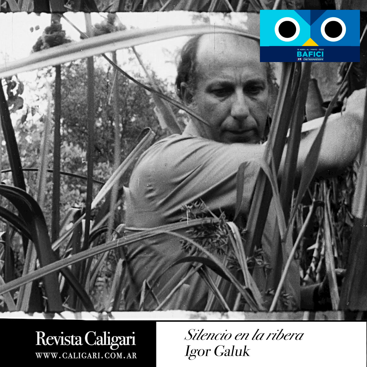 Revista Caligari tweet media