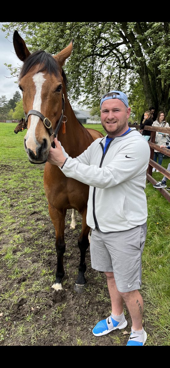 dejembo's tweet photo. Going to the @IrishNatStud since I’m a nipper and today thanks to the lovely lady who looks after the legends paddock I got a snap with these legends 🥳 #themachine #thefly #deitch @WillieMullinsNH https://t.co/5yGe3B4SC8