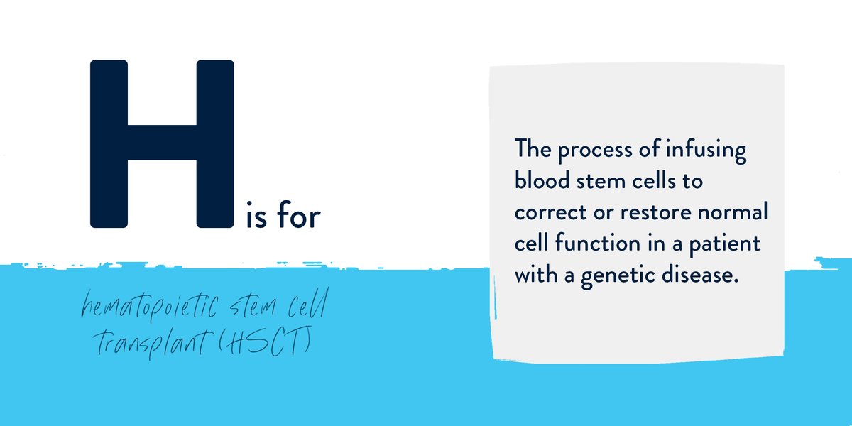 genetix_biotx's tweet photo. #ABCsOfGenetics — What is hematopoietic stem cell transplant (HSCT) and how does it infuse blood stem cells?
To learn more terms, fly to https://t.co/7KazIBoJe9 https://t.co/sY3XpUosdA