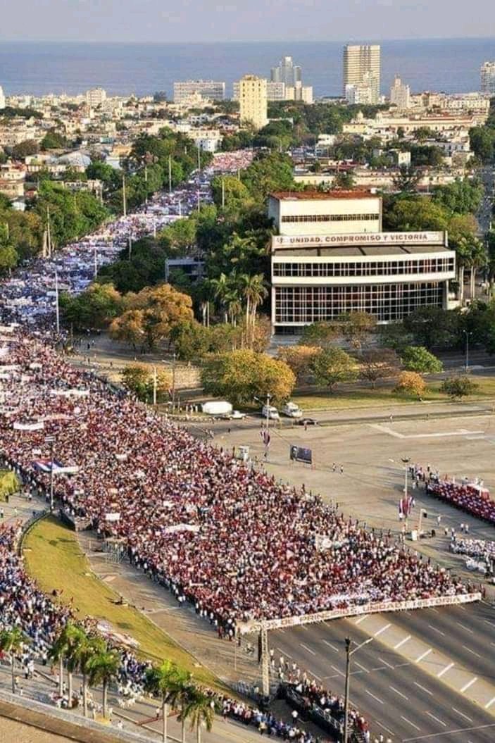 Alicia Senra Mugica tweet media