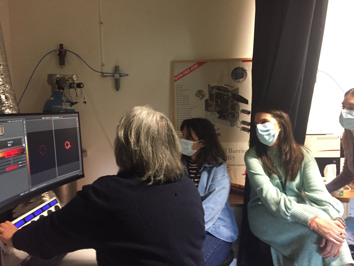 ML_AlvesdaSilva's tweet photo. Last week LAS group @animalogues organized the 1st Advanced Course on Organoid Models, at @i3S_UPorto  It was an intense but very fruitful course. We would like to thank all the lecturers, trainers and sponsors for making this possible!#training https://t.co/RUGS7ajtCq