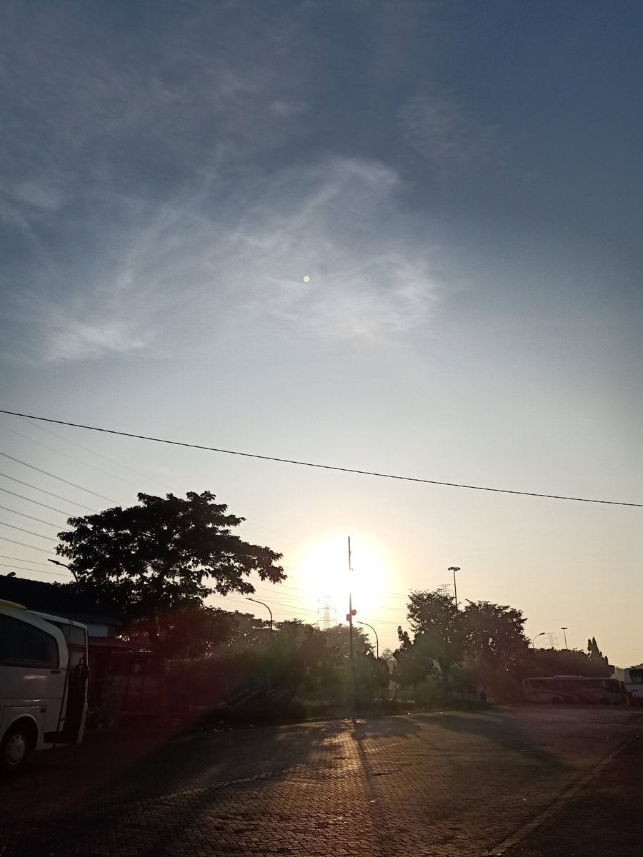 tomatnih tweet picture