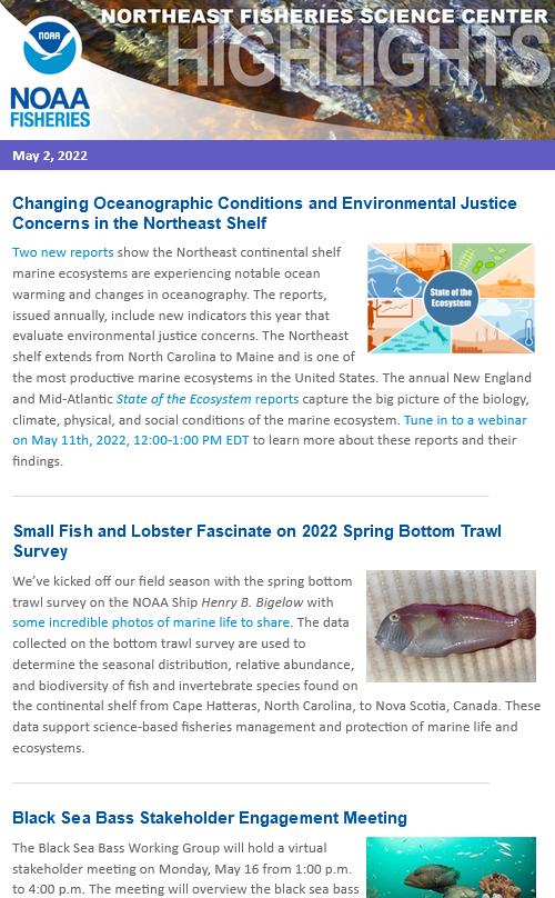 NOAAFish_NEFSC's tweet photo. Our eNewsletter is out! In it we talk 2022 #StateOfTheEcosystem reports, upcoming #BlackSeaBass stakeholder engagement meeting, latest blogs from our scientists, 2022 #NEFSCSurveys schedule, director’s message, more: https://t.co/IpvDZ0sXcQ. #NEFSCScience https://t.co/eiDMkg8GRL