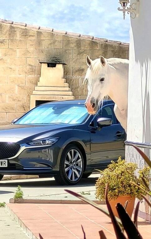flash. Ganador del Concurso Fotográfico Marzo-Abril 2022. #Mazda #Mazda6