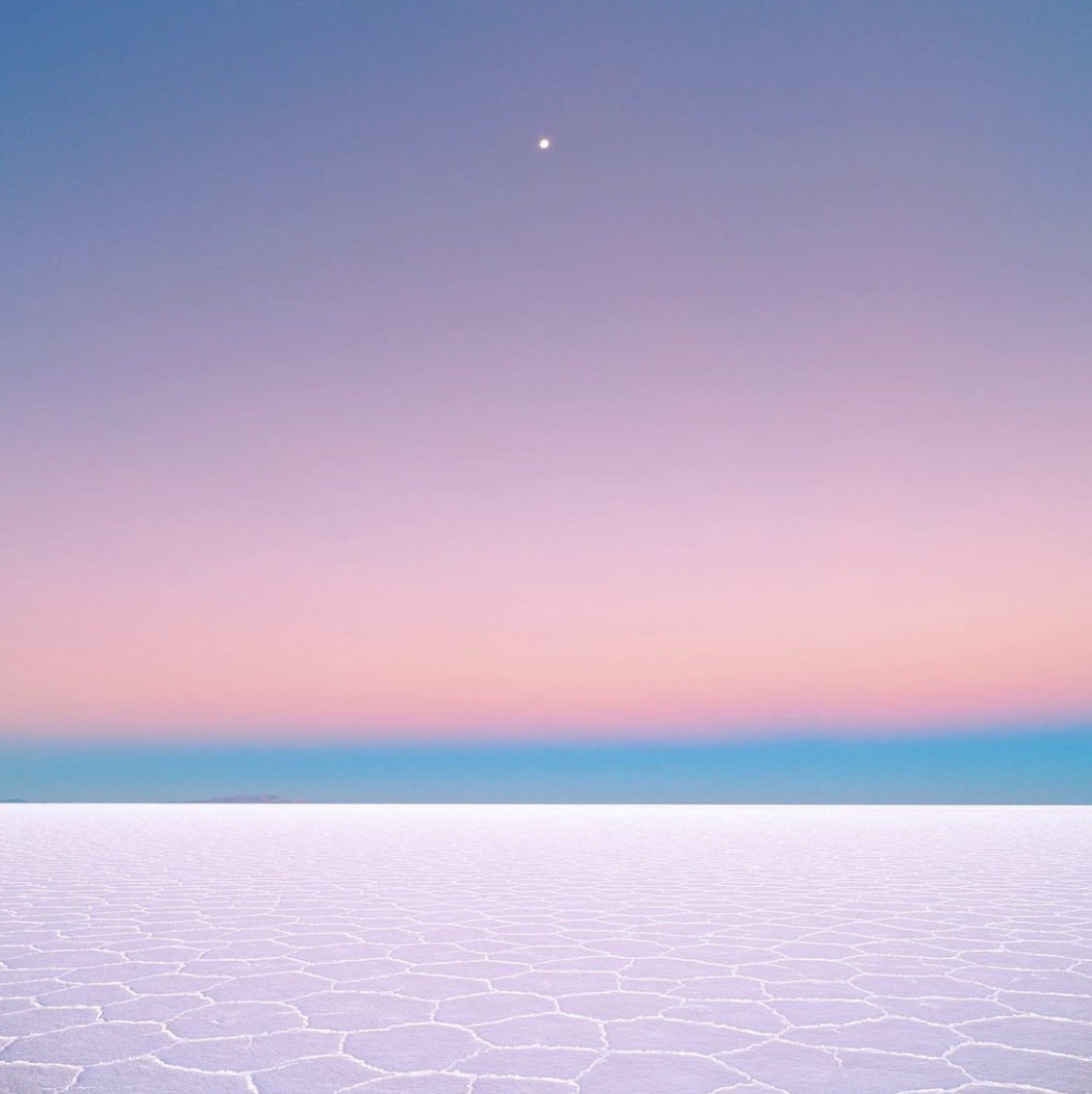 Reuben Wu tweet media