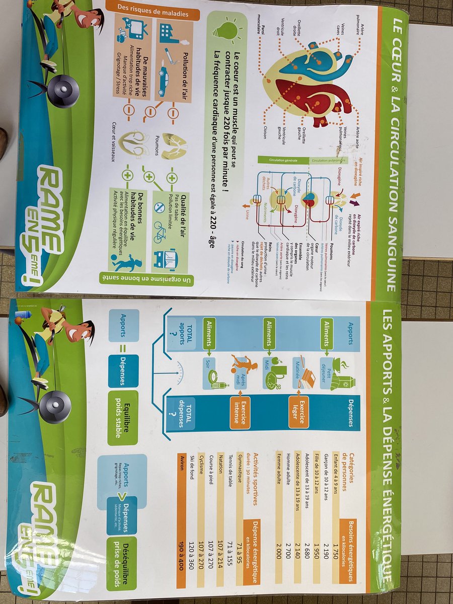 Rame en 5eme, une action qui permet aux élèves de faire du lien entre sport et santé!!  Une belle action partagée entre l’EPS et Sciences pour accompagner et promouvoir la pratique sportive et ses bienfaits pour le corps et la santé!