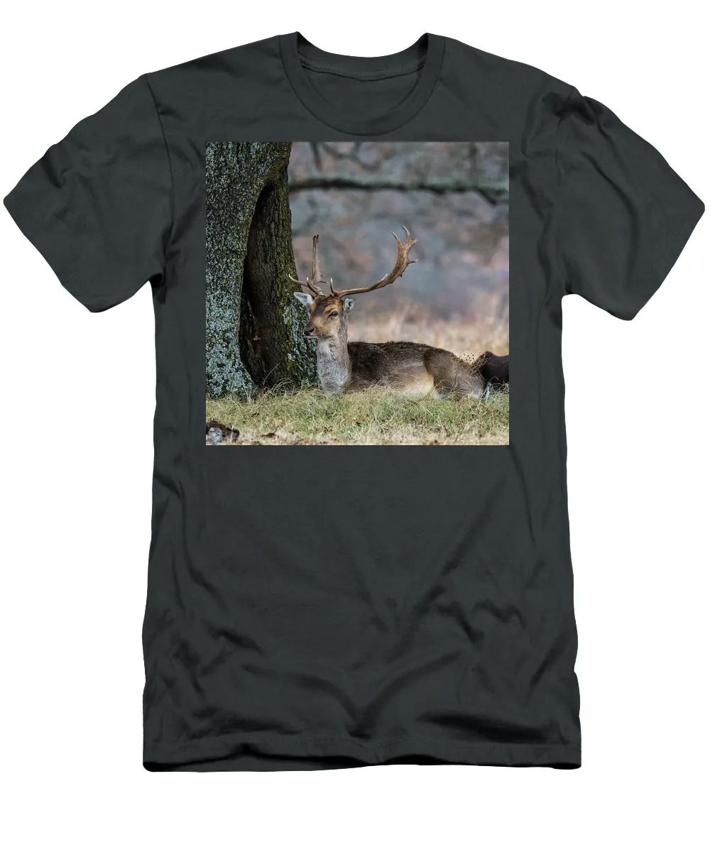 DebraMartz's tweet photo. "Fallow Deer Resting at Woolaroc" by Debra Martz
FIND IT HERE>>>https://t.co/1kEYZQPBqF #Pixels
#teesfordad #teeshirts #wildlifephotography #FallowDeer #Deer
#BuyIntoArt #SpringForArt #GiftThemArt https://t.co/3Ppnvaj4b5