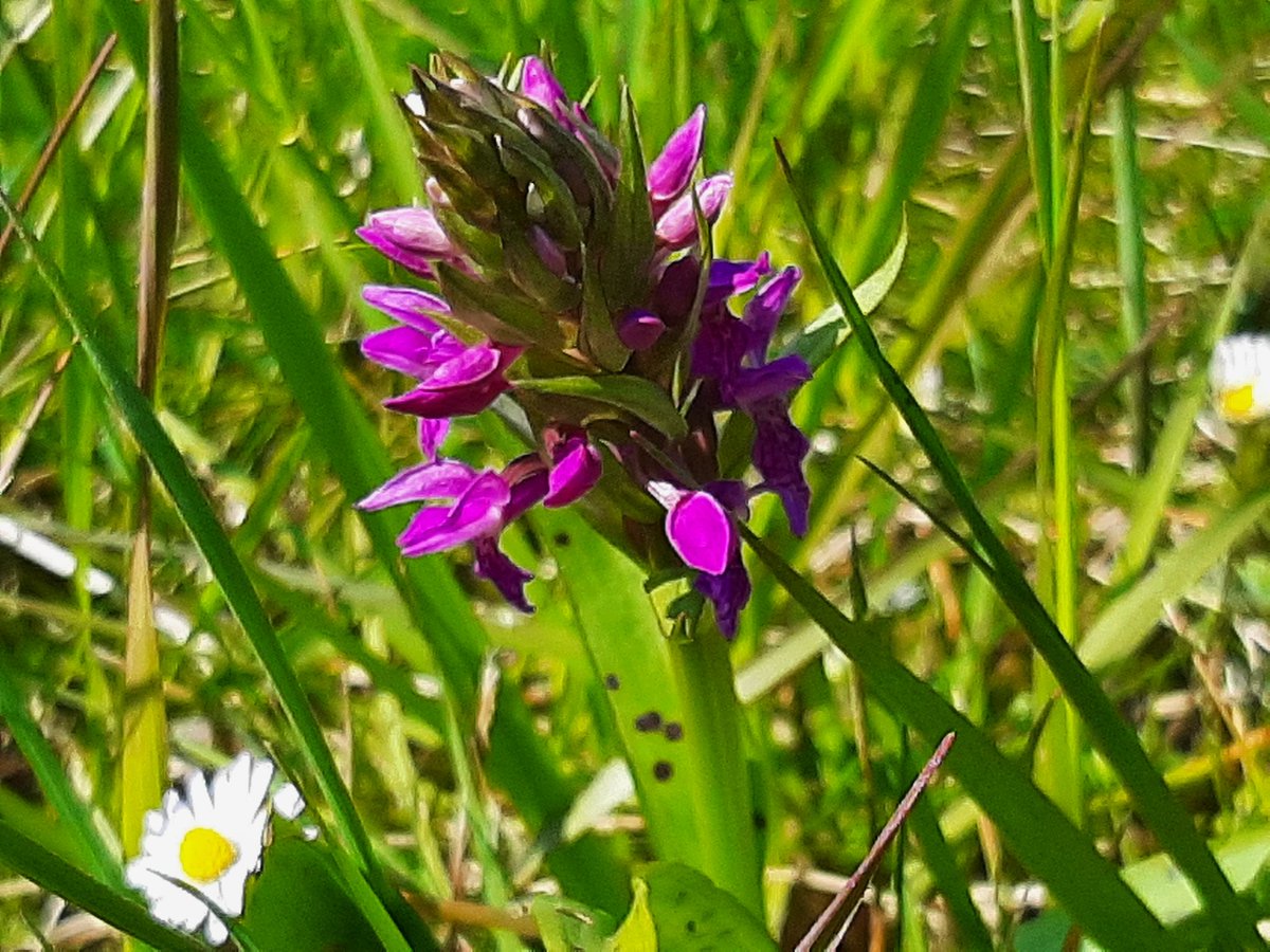 ecoloog079 tweet media