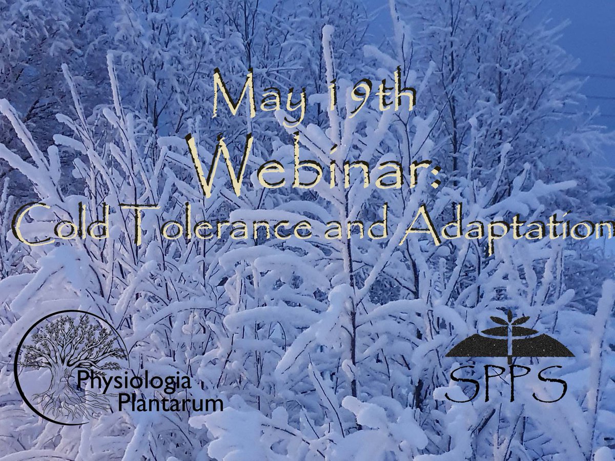 Welcome to our 3rd webinar co-organized by Physiologia Plantarum and <a href="/Plantspps/">Scandinavian Plant Physiology Society - SPPS</a>. The focus is ” Cold Tolerance and Adaptation”. Check the program here bit.ly/3vANTPO. Pre-registered talks are already online. Live event: May 19, 2022.
