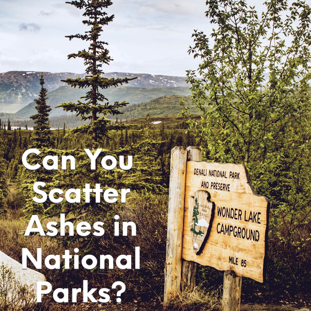 AnEternalLegacy's tweet photo. Can you scatter ashes in National Parks? The answer is yes and no. Each park has their own rules and finding the answer is harder than you think. Send us a msg and we'll email you our latest guide on scattering ashes in America's great national parks. #cremation #ashscattering https://t.co/LD5SVCUGoh