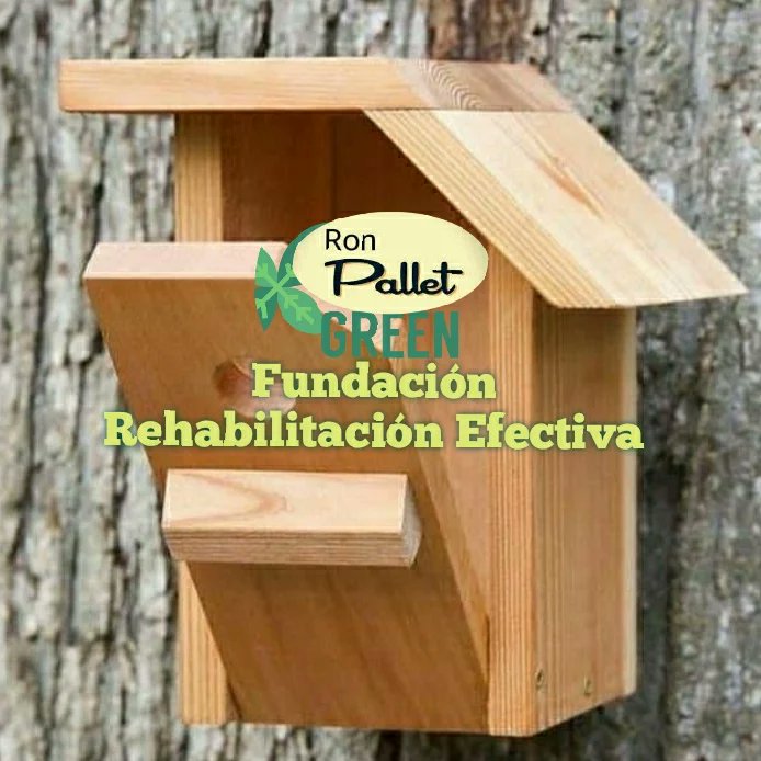 RonPALLET66's tweet image. 'RonPallet &amp;amp; ElGroot'
Artesanías en Maderas Recicladas 
WhatsApp Telegram Signal 0978958243
#CPL4 o #CRS4 
El Rodeo, Portoviejo