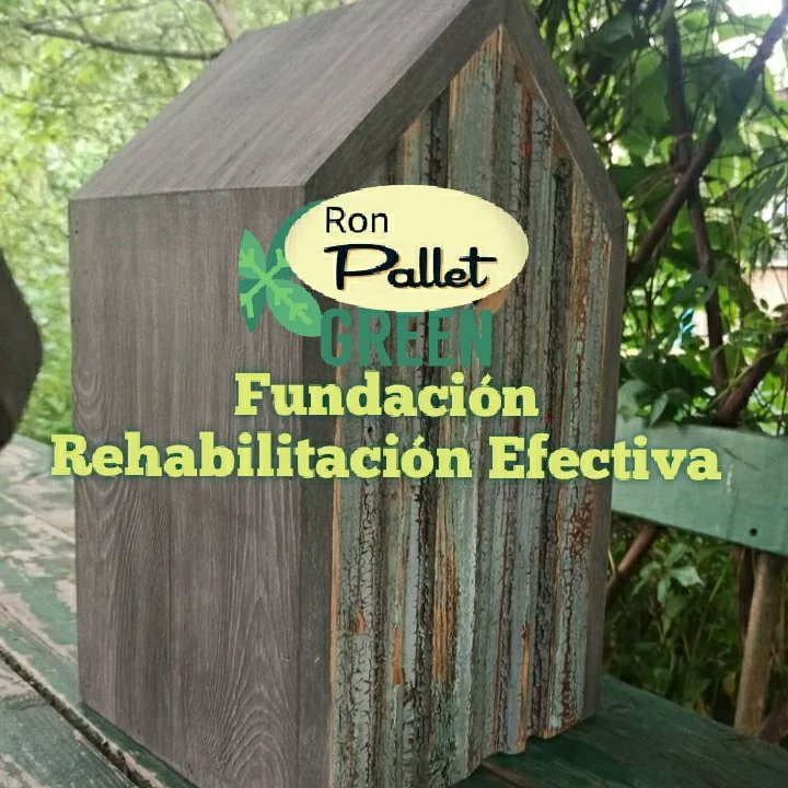 RonPALLET66's tweet image. 'RonPallet &amp;amp; ElGroot'
Artesanías en Maderas Recicladas 
WhatsApp Telegram Signal 0978958243
#CPL4 o #CRS4 
El Rodeo, Portoviejo