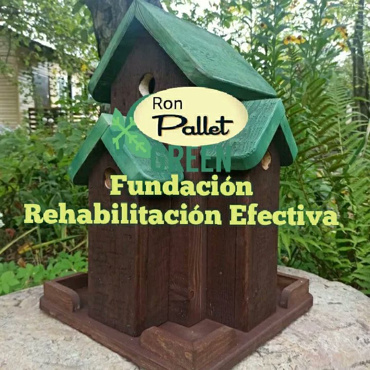 RonPALLET66's tweet image. 'RonPallet &amp;amp; ElGroot'
Artesanías en Maderas Recicladas 
WhatsApp Telegram Signal 0978958243
#CPL4 o #CRS4 
El Rodeo, Portoviejo