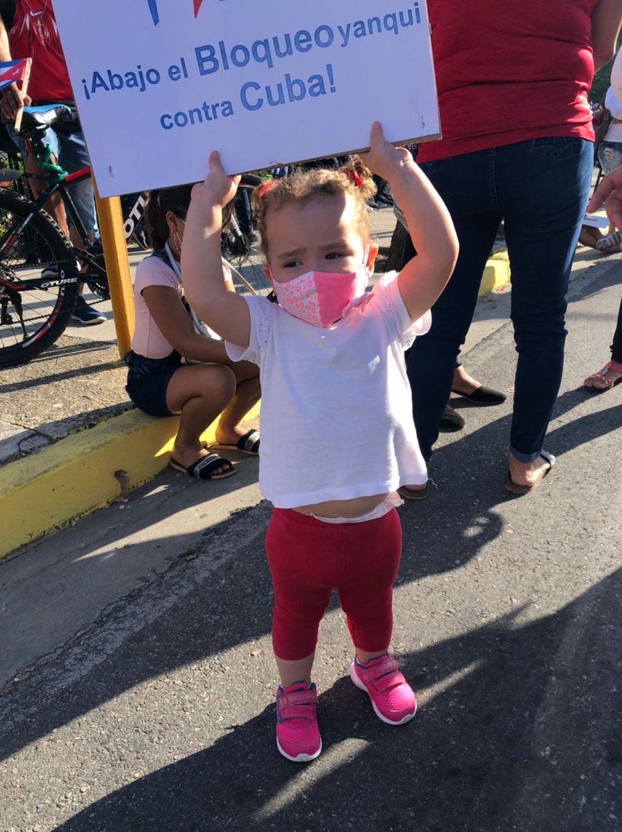 Elian González Brotóns tweet media