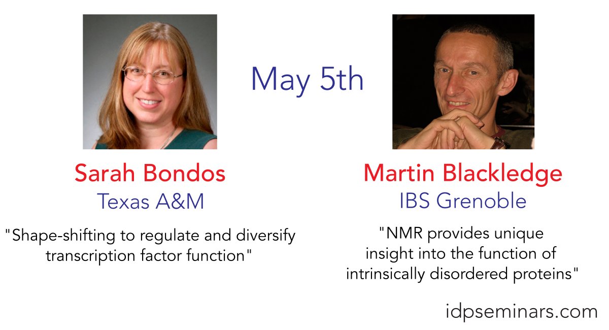 We are back on Thursday with seminars by Sarah Bondos and Martin @BlackledgeLab! Expect ensembles of disordered proteins by 💻 and 🧲! New attendees sign-up at: idpseminars.com