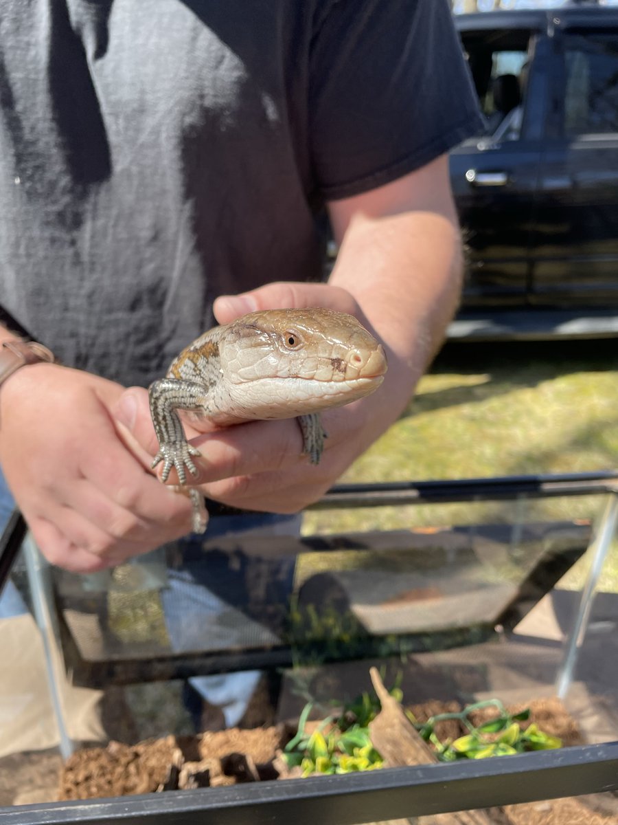 Self Help Inc. CFCE tweet media